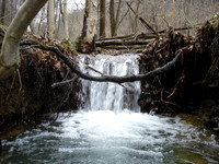 DSC00008