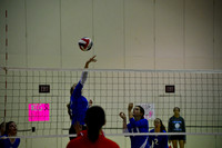 2014 Girls Volleyball