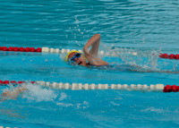 SWIM-9158