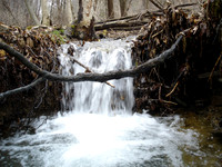 DSC00009