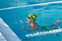 SWIM-4311