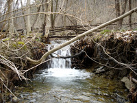 DSC00010