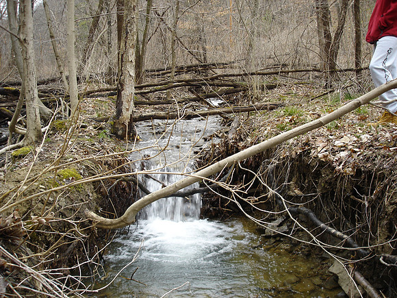 DSC00011