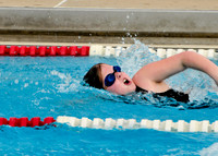 SWIM-9176