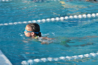 SWIM-4317
