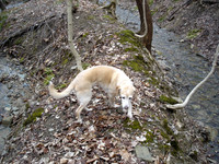 DSC00016