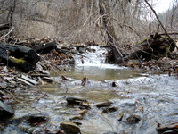DSC00021